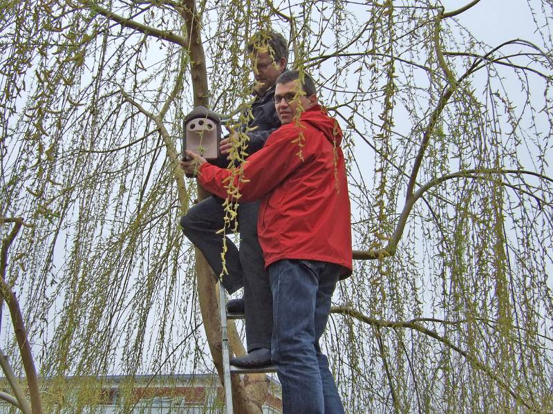 08 03 08 003a.jpg - Ernst und Uwe hoch in den Weiden